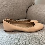 Chloé Chloe Lauren‎ Scalloped Ballet Flat in Cream Size 37 Photo 7