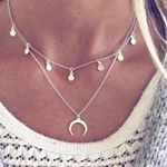 Silver Horn Double Layer Choker Necklace Photo 0