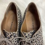 Lucky Brand Erreka Lace-Up Leather Oxford Titanium Romo Leopard Size 7.5 BIN 16 Photo 4