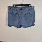 Ava & Viv Cutoff Jean Shorts Photo 6