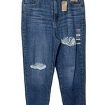 Levi's Medium Wash Destroyed High Waisted Mom Jean Tapered Women’s Size W31 L27 Photo 0