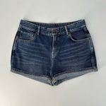 All Saints Helena High Waisted Cuffed Denim Shorts Size 30 Photo 3