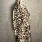 ZARA  Animal Print Long Sleeve Dress Size XS Photo 4