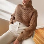 Aritzia Babaton Guell Turtleneck Sweater in Dark Sand Brown Photo 0