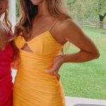 Tiger Mist Dress Photo 0