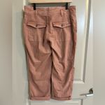Anthropologie Wanderer High-Rise Cargo Pants Size 31P Photo 4
