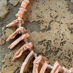 Vintage 90s Hawaii Pink Salmon Puka Shell Branch Necklace Photo 3