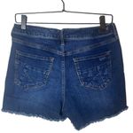 Dear John  Women’s Sz 28 Shorts Distressed Denim Jean Raw Hem Photo 5