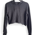 Brandy Melville  Cropped Pullover Hooded Sweatshirt Photo 0
