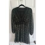 ZARA  XS Floral Lace V Neck Long Sleeve Mini Dress Photo 3