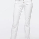 J Crew 10” Vintage Slim Straight Jeans White Denim High Rise NEW 33 Button Fly Photo 0