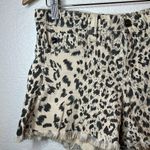 KANCAN Leopard Print Women's Shorts 97% cotton Thank Black Photo 2