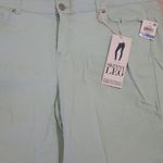 Style & Co Women's 18 Curvy Fit Skinny Leg Mint Super Stretch Photo 1