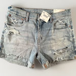 American Eagle  AE Ex-Boyfriend‎ Denim Shorts Women 2 26W Distressed Low Rise NWT Photo 0