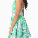 Tuckernuck Lila Dress Flare Green Floral Pinafore Sundress Sz S EUC Crossback Photo 2