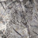 Victoria's Secret  Cheetah print lace slip size large Photo 2