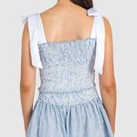 Koch Erica Skirt - Texas Blue Stripe Photo 1