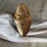 VTG Fish Signed Enamel Lily Pad Reed Pin Brooch Green Photo 3