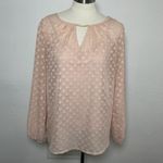 Liz Claiborne  Blush‎ Pink Sheer Chiffon Blouse M Romantic Boho Long Sleeve Photo 1