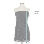 Wild Fable  Sequin Mini Tube Fringe Bodycon Dress Photo 4