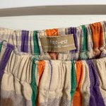 Free People  Multicolor Striped Women's Shorts Photo 1