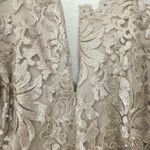 Tadashi Shoji  Embroidered Sequin Lace‎ Sand Beige Cocktail Dress Size 12 Photo 8