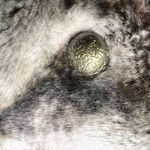 Regent Park Womens Large‎ Faux Fur Brown Metallic Gold Coat Jacket Shiny Animal Photo 9