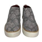 Toms Women’s Paxton Slip on Snake Patterned Mid Ankle Sneaker size 9 Photo 2