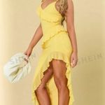 SheIn Bodycon Photo 2