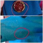 Pendleton TEAL BLUE AND PINK VINTAGE 1980'S WOOL BLAZER (16) Photo 9