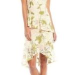 Alex Marie  Floral Chunky Lace Ruffle Dress Photo 9