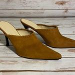 BCBGirls Suede Mules Photo 0