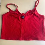 Princes & Fox Prince Fox Crop Top Photo 0