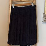 Laura Ashley  Pleated Skirt Photo 0