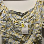 Sophie Rue NWT , size L. Cropped top. Elastic back Photo 2