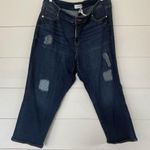 Lane Bryant Women’s 20 Dark Wash Stretchy Jeans Photo 0