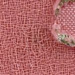 Free People  wanderer Maci dress boho gown coral chiffon metallic gold textured 4 Photo 16