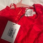 Hello Molly NWT Dress Photo 4