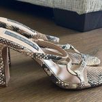 Steve Madden Heels Photo 0