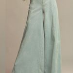 Anthropologie NWT Shine Corduroy Palazzo Pants Size 4 Photo 3