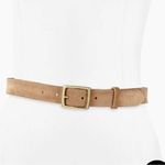 Rag and Bone  in Camel 
Suede Boyfriend Belt Size Medium Photo 0