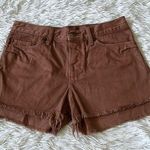 Ksubi  Women’s Jung Shorts Raw hem in clay pot size 26 Photo 0