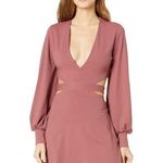 Susana Monaco NWT  Deep V Cut Out Long Sleeve Dress in Lipstick Photo 0