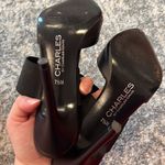 Charles by Charles David Pump Photo 2