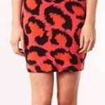 Topshop Cheetah Leopard Print Dress Photo 0