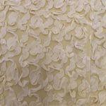 Jun & Ivy Francesca’s  adorable yellow flower dress Photo 5