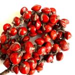 Red/orange seed beaded choker necklace Red Photo 7