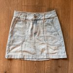 American Eagle Outfitters Skirt Photo 0