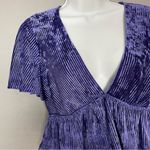 Urban Outfitters  Crop Top Peplum Velour Stretch Velvet Size Large Flutter Sleeve Photo 4