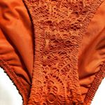 Ralph Lauren  Bikini Bottom‎ nwt Photo 3